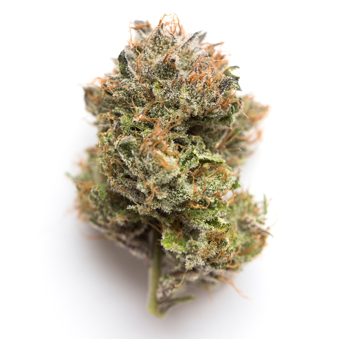 Buy Gelato #33 Online in the US