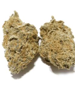 Buy Headband Strain Online US