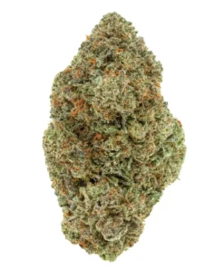 Buy Master OG strain (AAA+) Online US