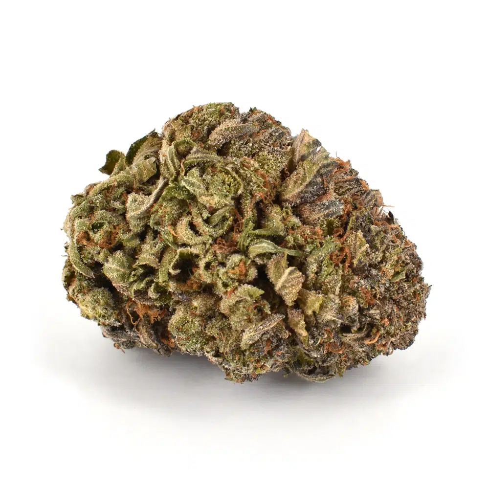 Buy Purple Urkle Strain Online US