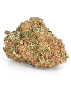Buy Super Silver Haze Cannabis Online US