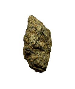 Gelato 33